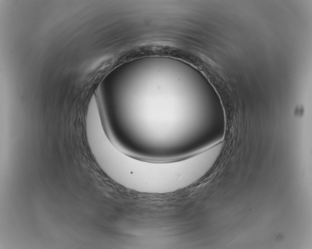 X0000090421014200707272106