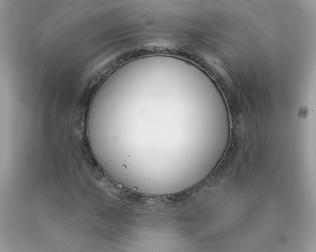 X0000090421015200707272106