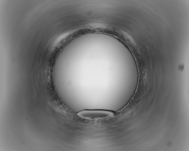 X0000090421016200707272106