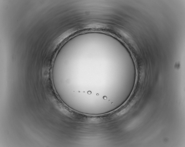 X0000090421017200707272106