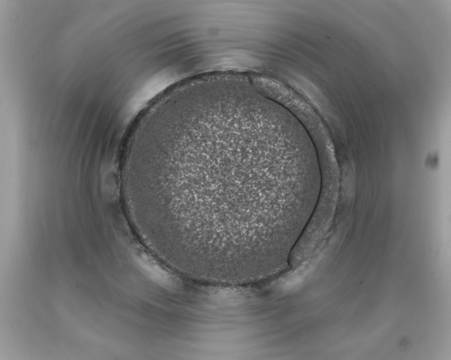 X0000090421018200707272106