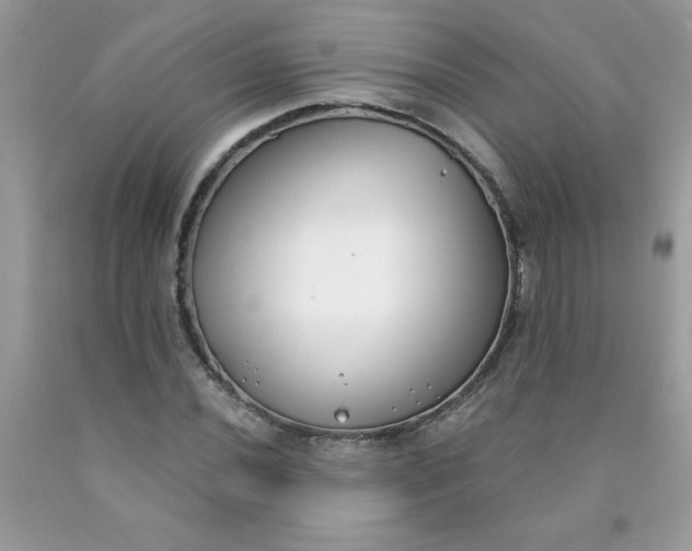 X0000090421020200707272106