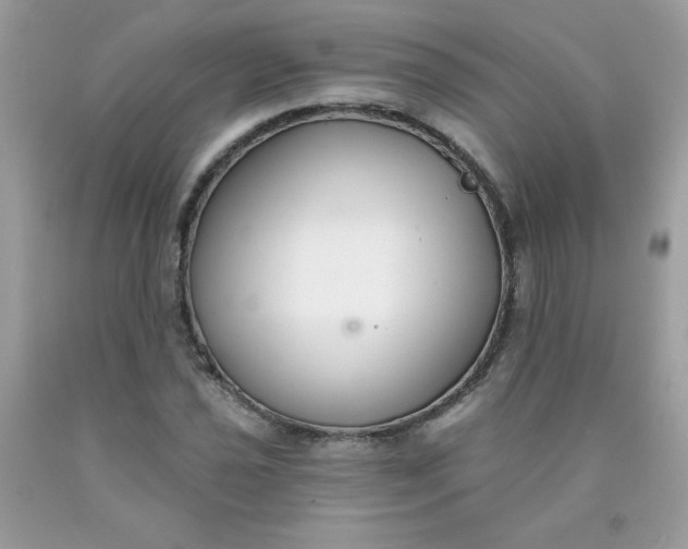 X0000090421021200707272106