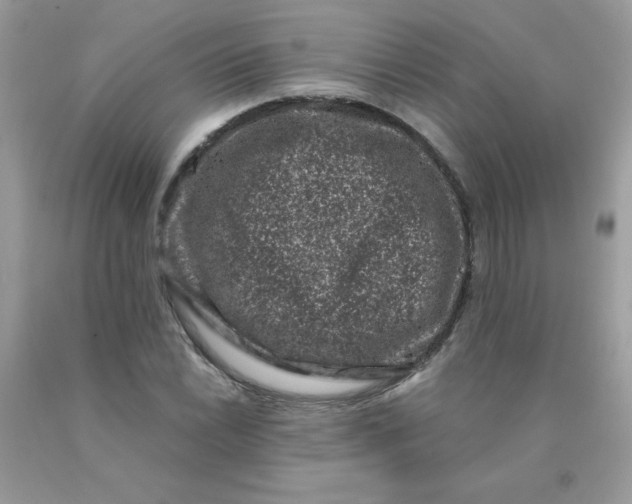 X0000090421022200707272106