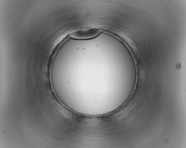 X0000090421023200707272106