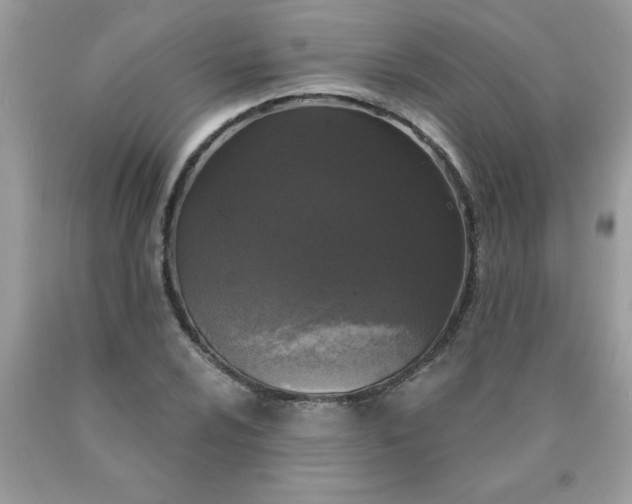 X0000090421024200707272106