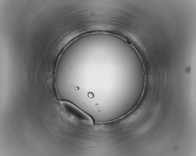 X0000090421025200707272106