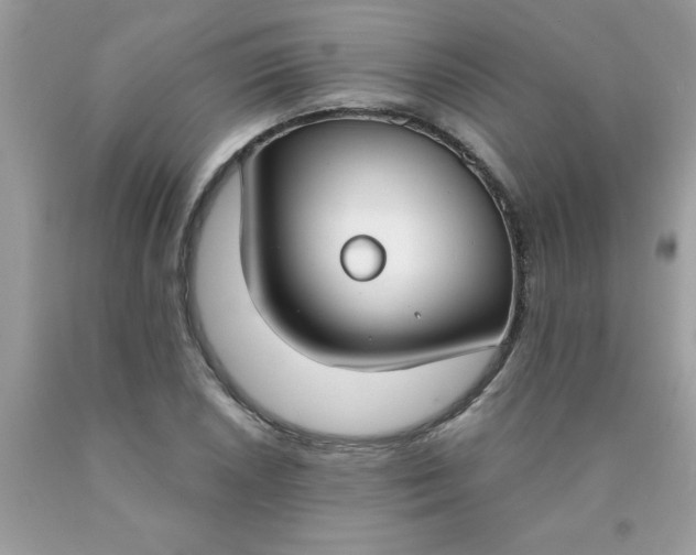 X0000090421026200707272106