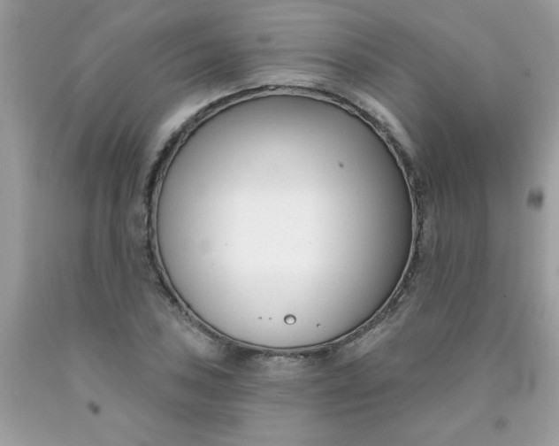 X0000090421027200707272106