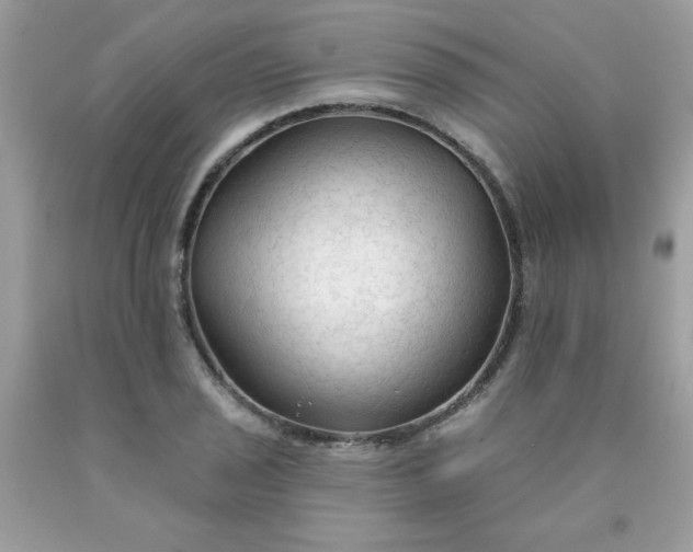 X0000090421029200707272106