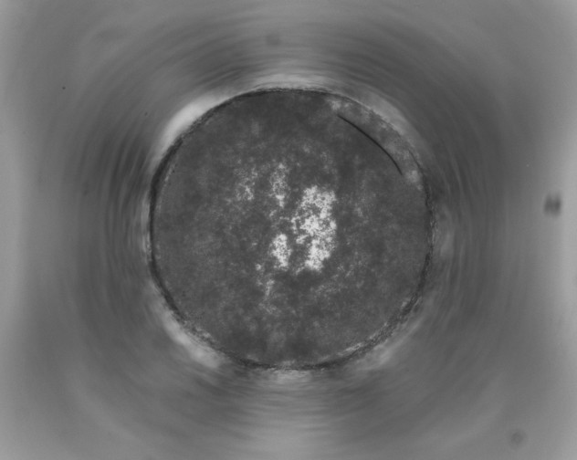 X0000090421030200707272106