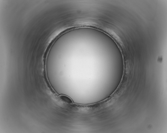 X0000090421031200707272106