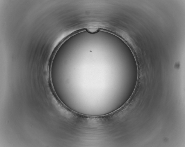 X0000090421032200707272106