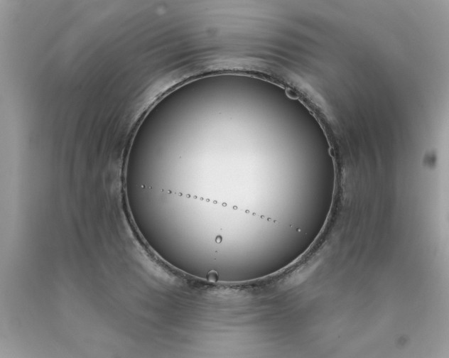 X0000090421033200707272106