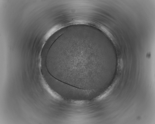 X0000090421034200707272106