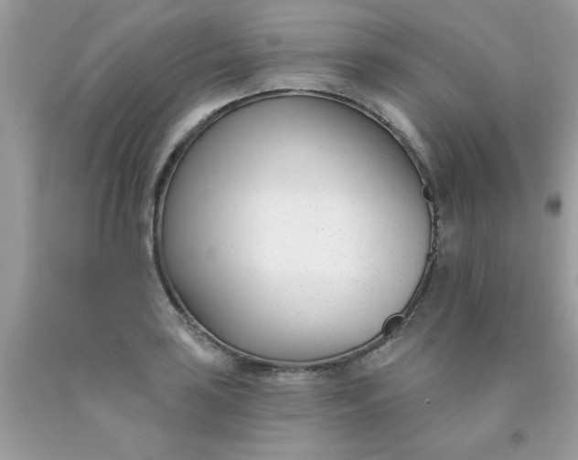 X0000090421035200707272106