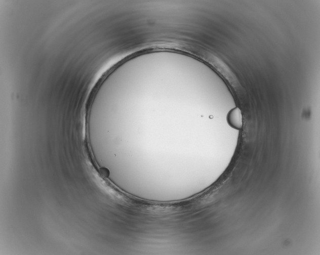 X0000090421036200707272106