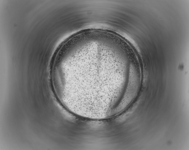 X0000090421037200707272106