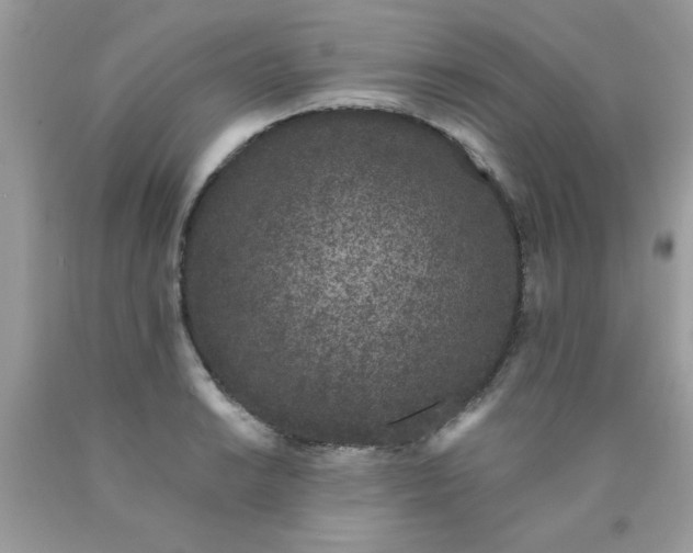 X0000090421038200707272106