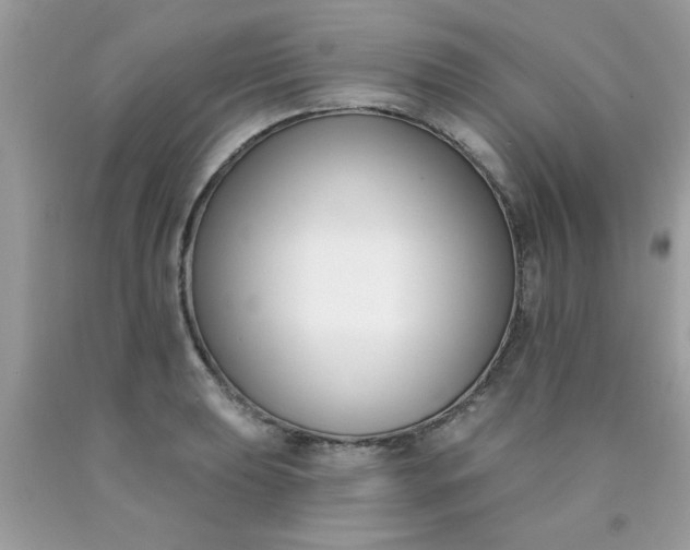 X0000090421039200707272106