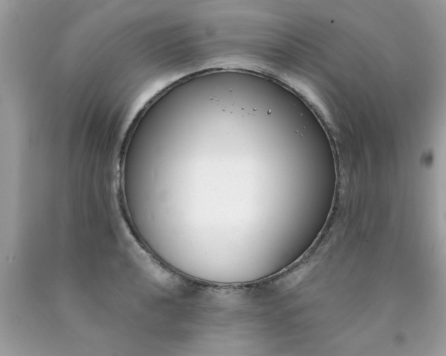 X0000090421040200707272106