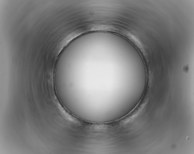 X0000090421041200707272106