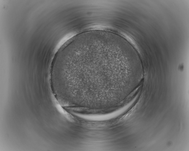 X0000090421042200707272106