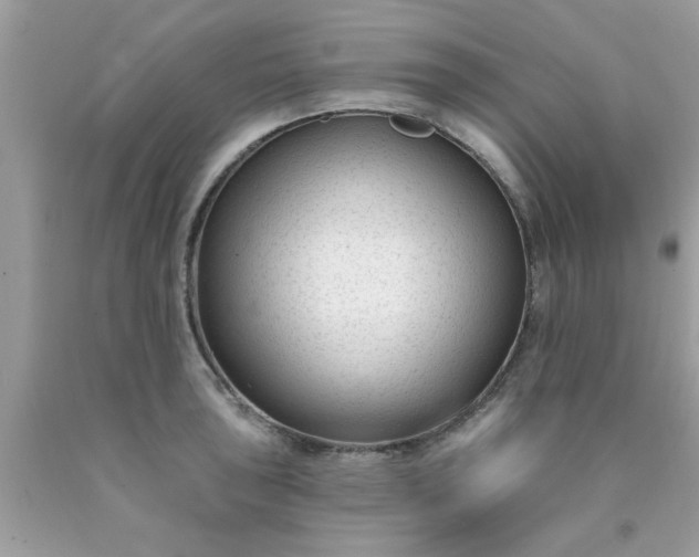 X0000090421043200707272106