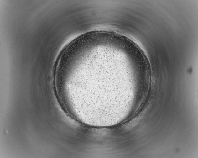 X0000090421045200707272106