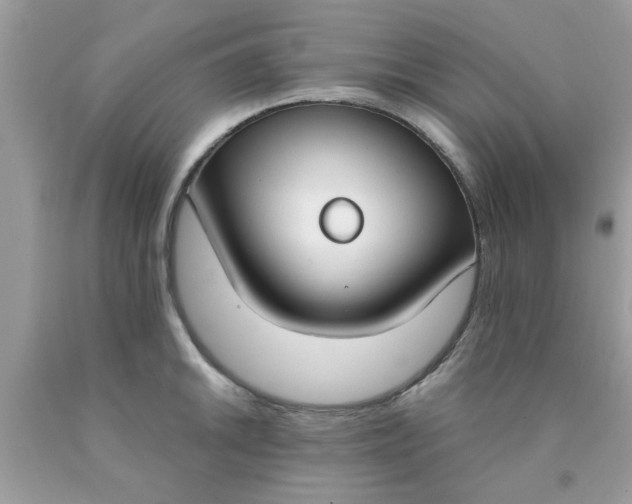 X0000090421046200707272106