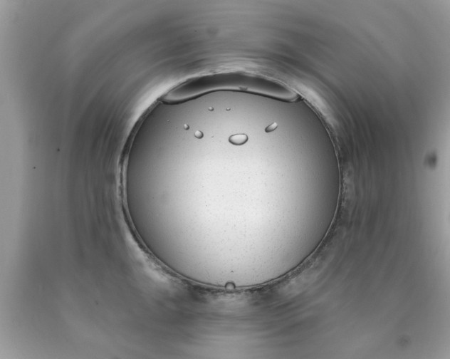 X0000090421047200707272106