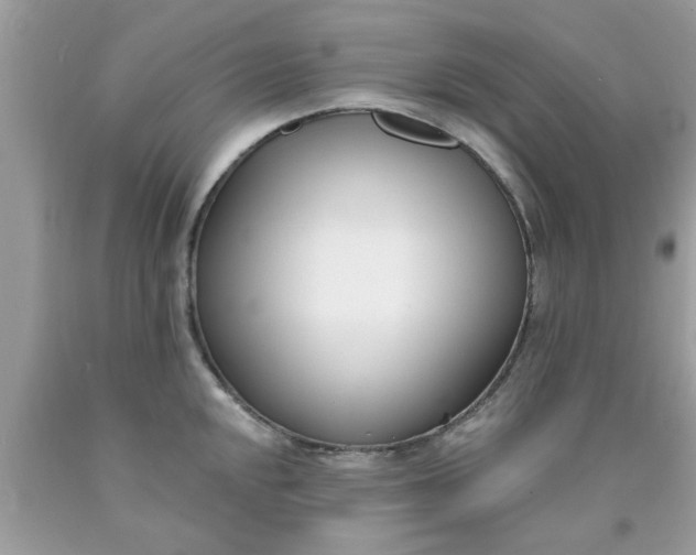 X0000090421048200707272106