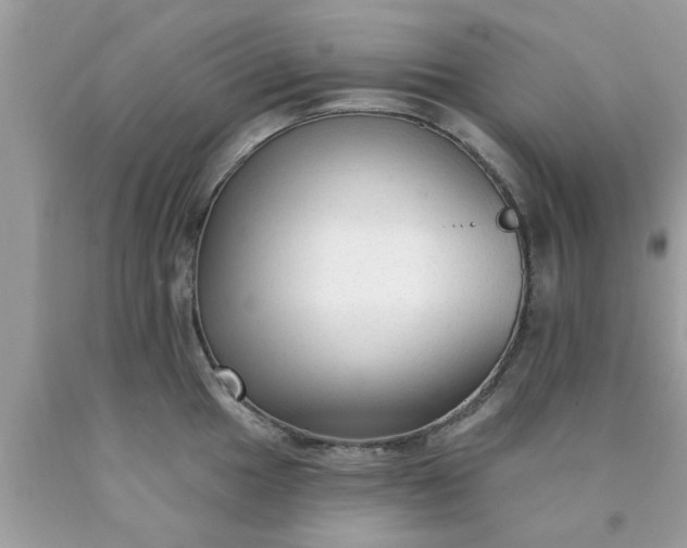 X0000090421049200707272106