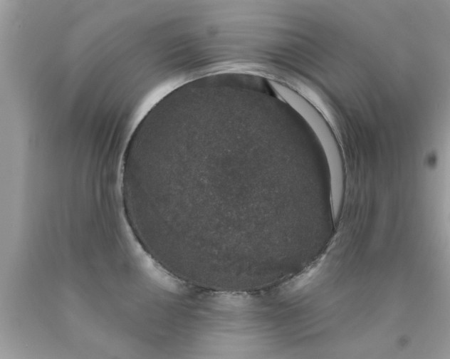 X0000090421050200707272106