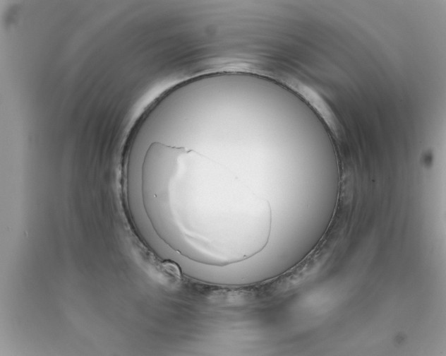 X0000090421051200707272106