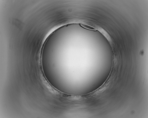 X0000090421052200707272106