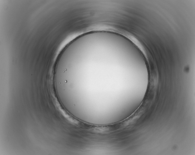 X0000090421053200707272106