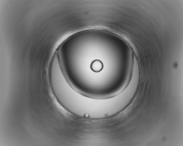 X0000090421054200707272106