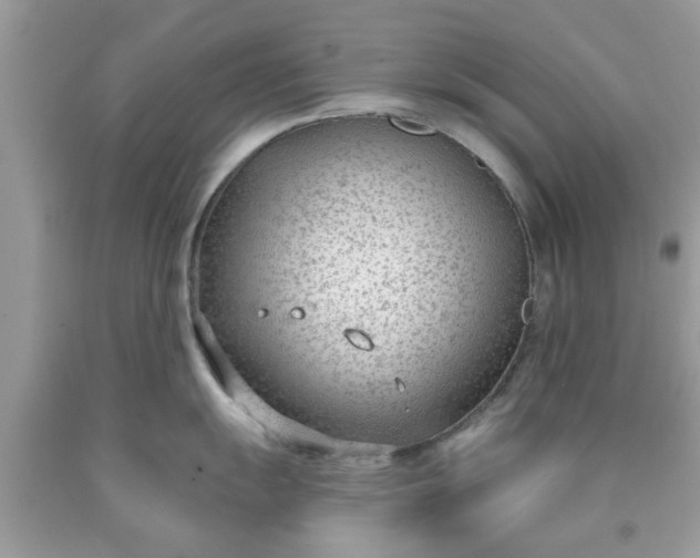 X0000090421055200707272106