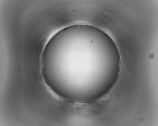 X0000090421056200707272106