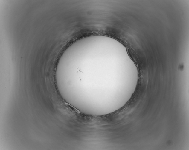 X0000090421057200707272106