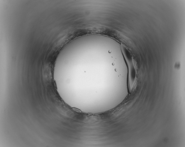 X0000090421058200707272106