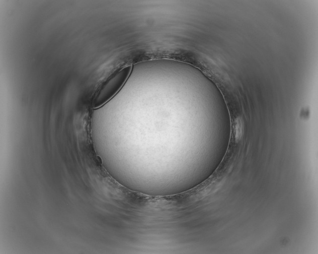 X0000090421059200707272106