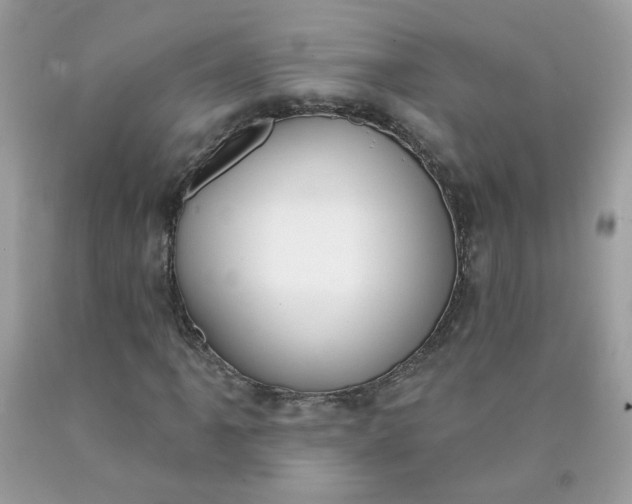 X0000090421061200707272106