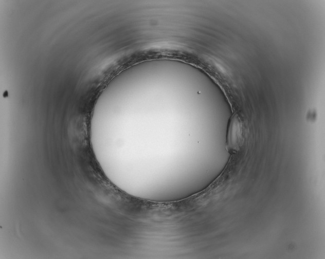 X0000090421062200707272106