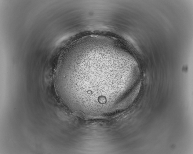 X0000090421063200707272106