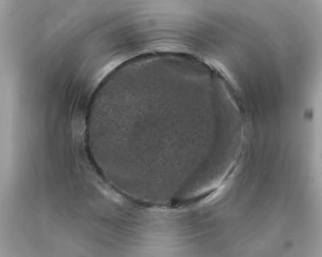 X0000090421065200707272106