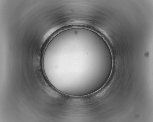 X0000090421066200707272106