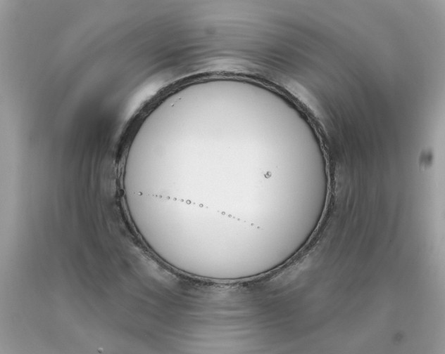 X0000090421067200707272106