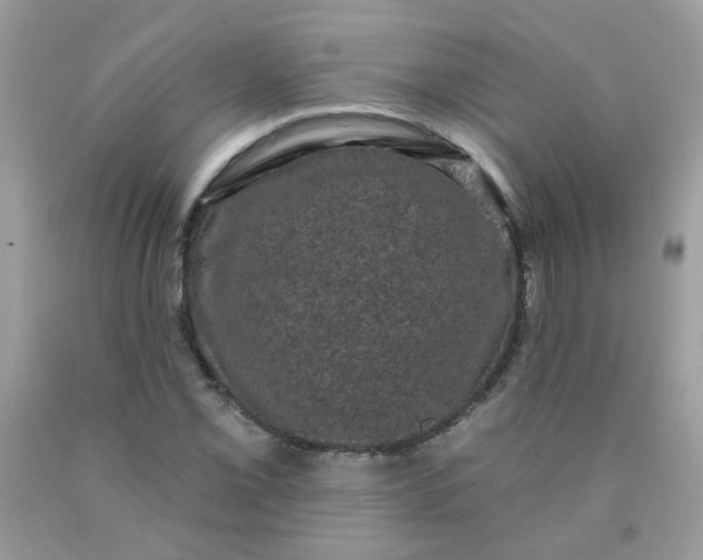 X0000090421069200707272106